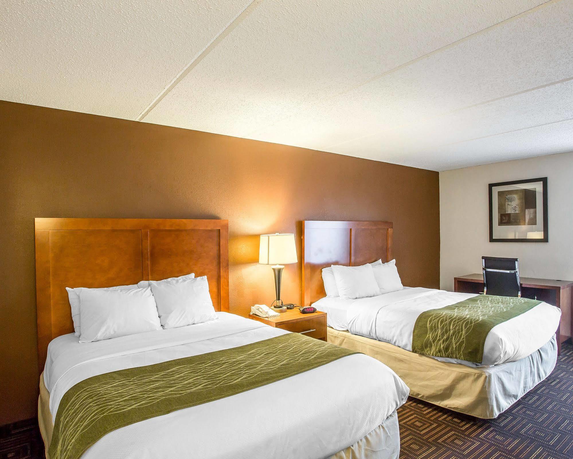 Comfort Inn Downtown Chattanooga Esterno foto
