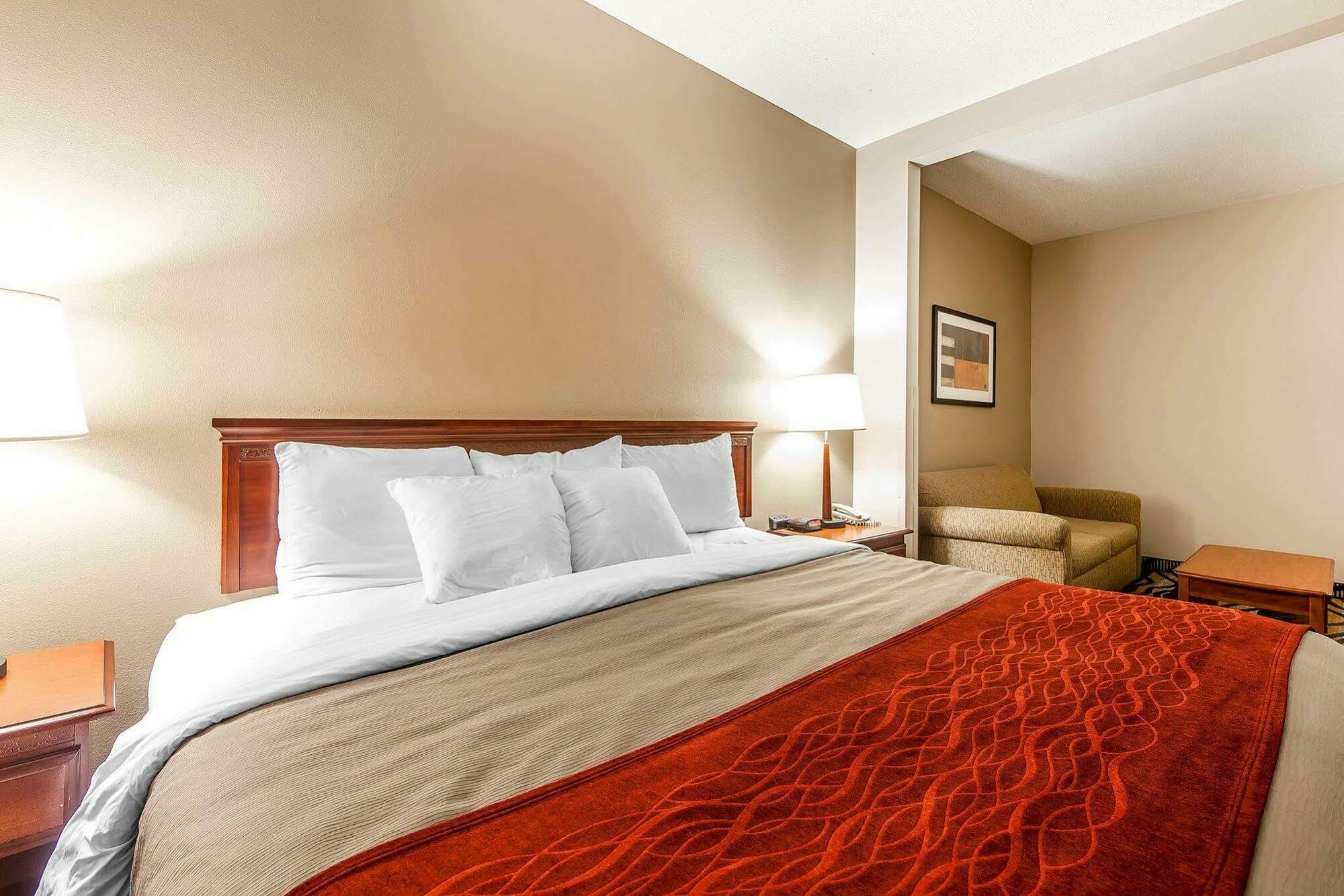 Comfort Inn Downtown Chattanooga Esterno foto