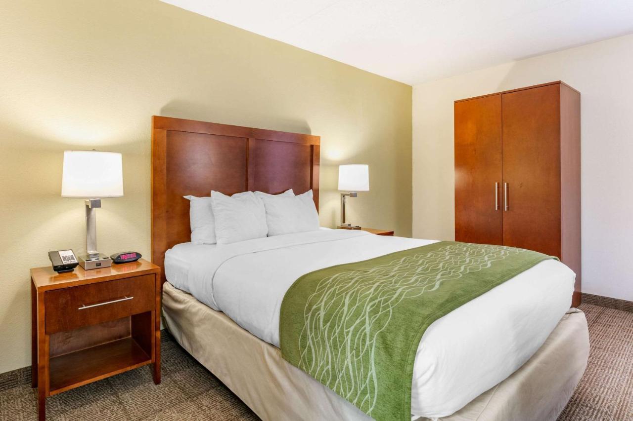 Comfort Inn Downtown Chattanooga Esterno foto